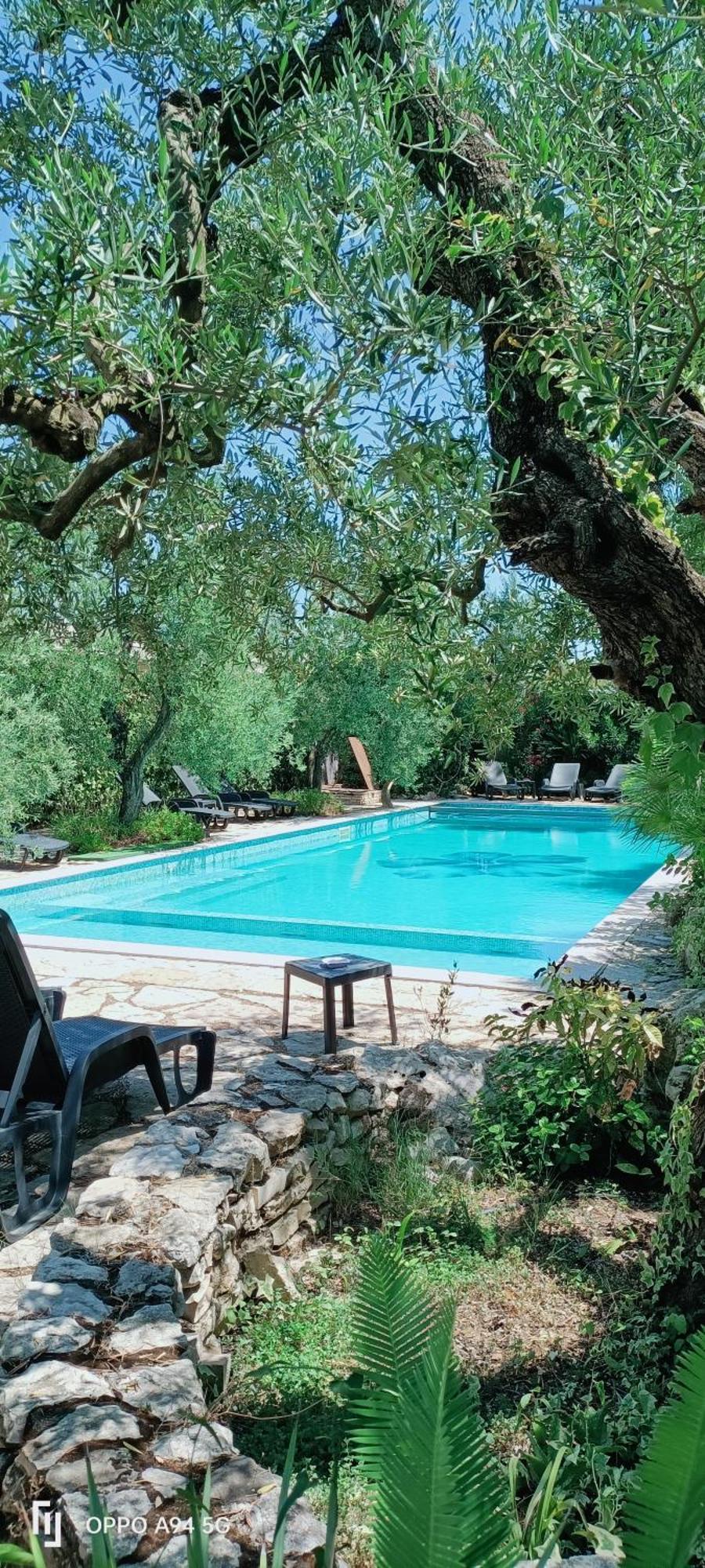 Agriturismo Le Vedute Bisceglie Eksteriør bilde